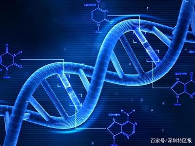 深圳為細(xì)胞和基因產(chǎn)業(yè)立法 劃定創(chuàng)新與倫理紅線(xiàn)，擬明令禁止生殖基因編輯