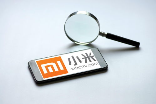 小米強(qiáng)化隱私保護(hù)與信息安全 第一優(yōu)先級的戰(zhàn)略抉擇